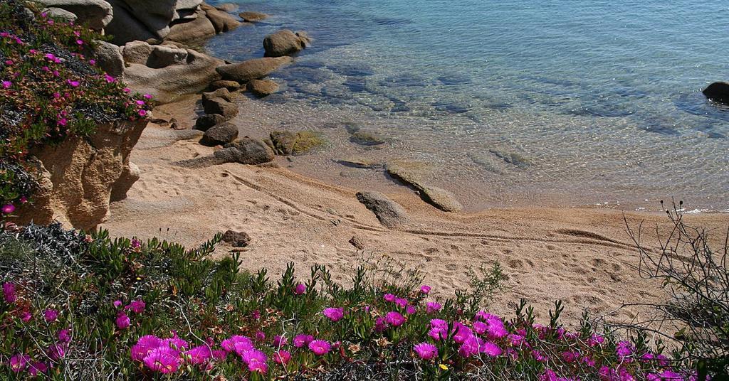 Appartamenti Galatea بالاو المظهر الخارجي الصورة